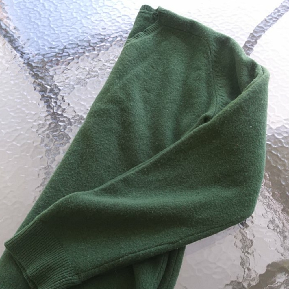 J.Crew Forest Green Lambswool V-neck Sweater - Picture 5 of 5